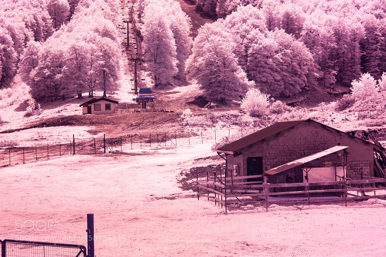 Canon EOS 450D (EOS Rebel XSi / EOS Kiss X2) sample photo. Infrared vision photography