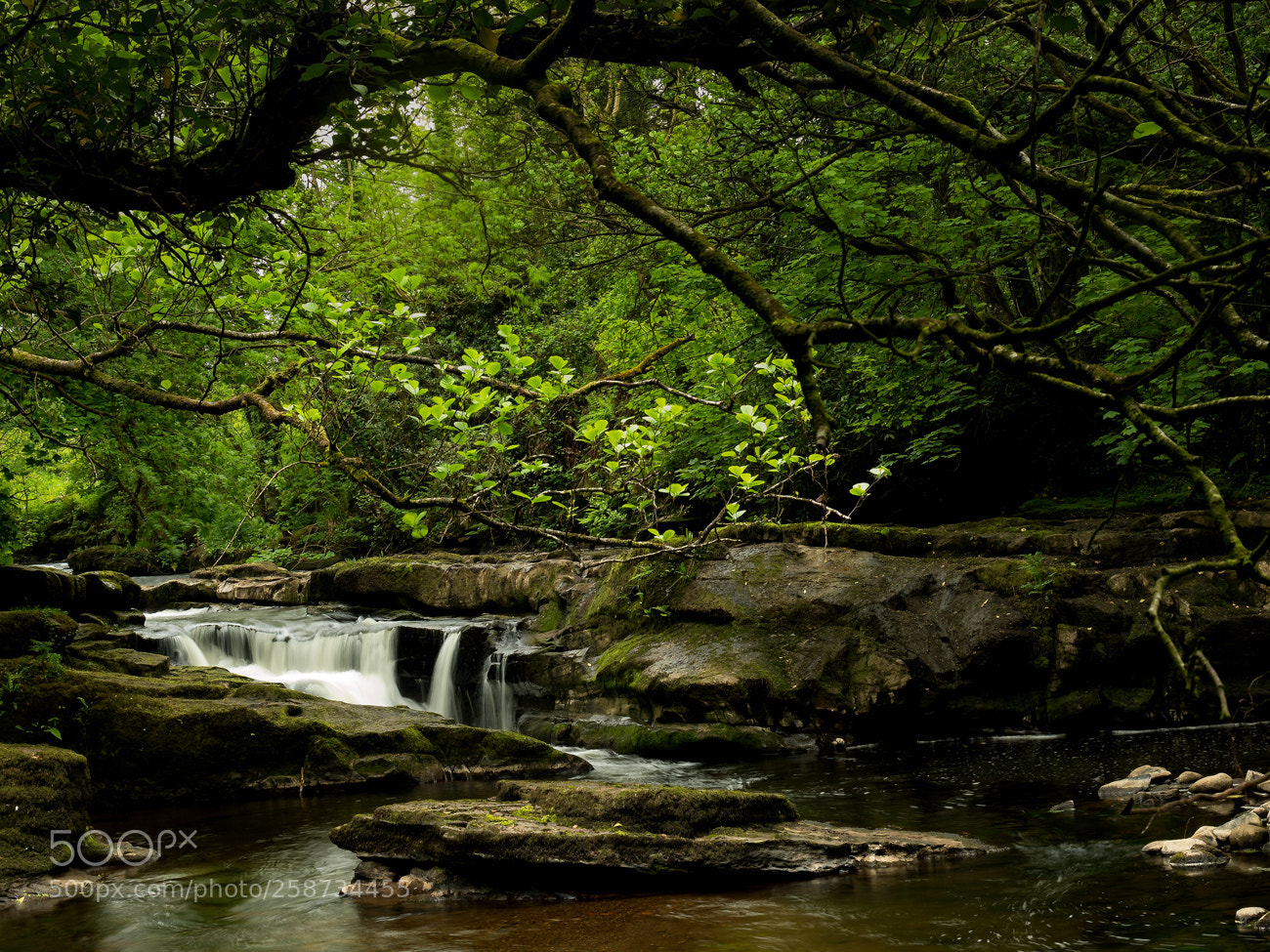 Fujifilm X-T20 sample photo. Clare glens photography