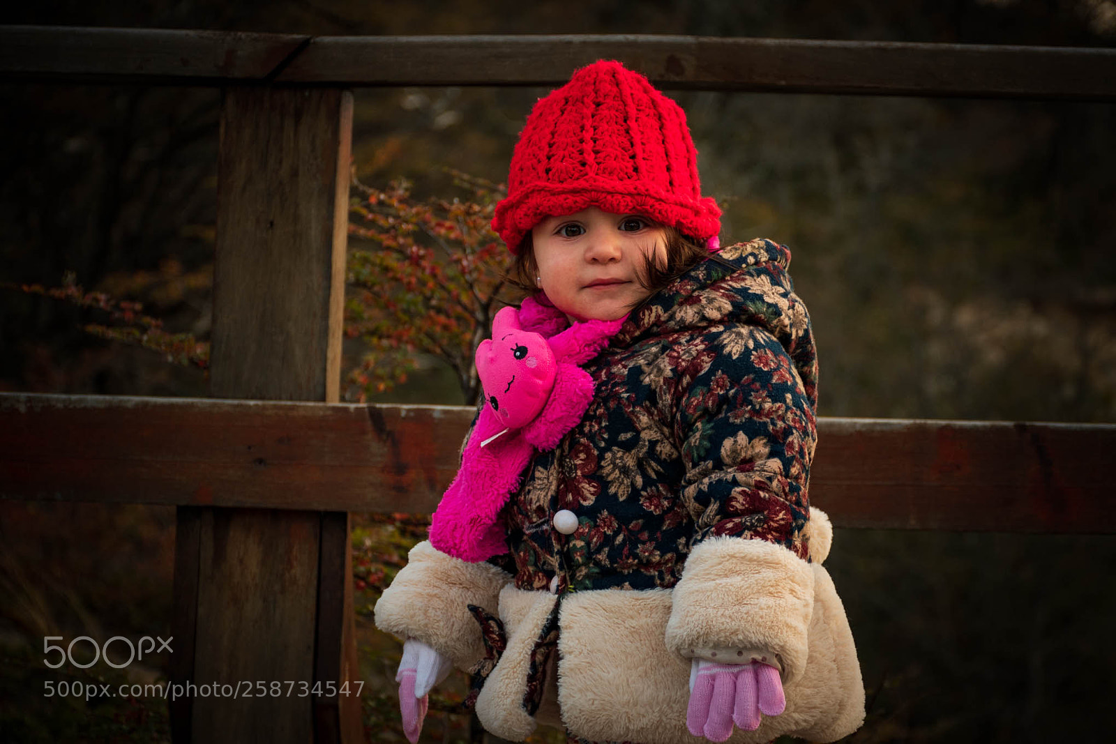 Nikon D7500 sample photo. Helen photography