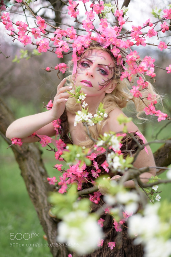 Nikon D750 sample photo. Teatronatura "pink blossom explosion" photography