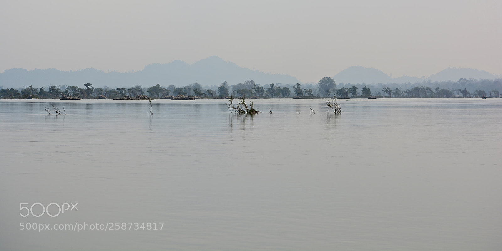 Nikon D5200 sample photo. Flooded forest photography
