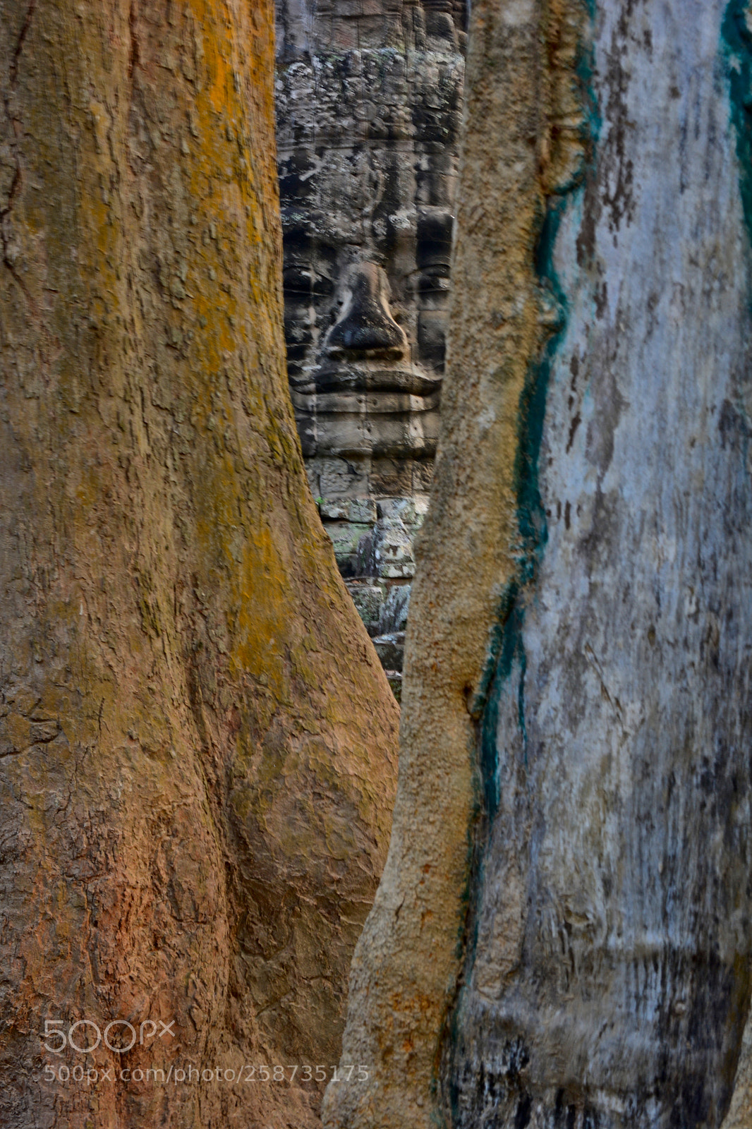 Nikon D5200 sample photo. Absorbed photography
