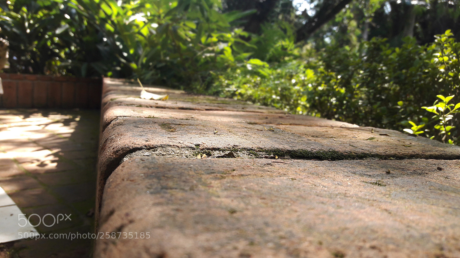 Samsung Galaxy A5(2016) sample photo. Parque raphael lazzuri photography