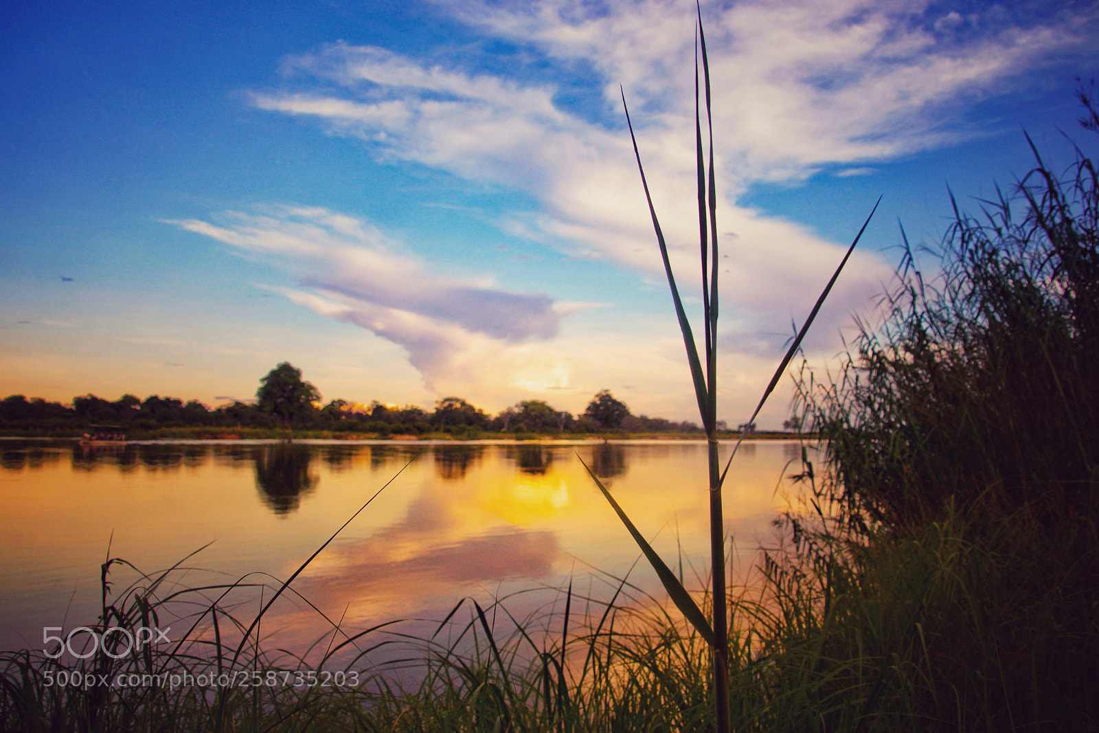 Sony SLT-A77 sample photo. Okavango sunset photography