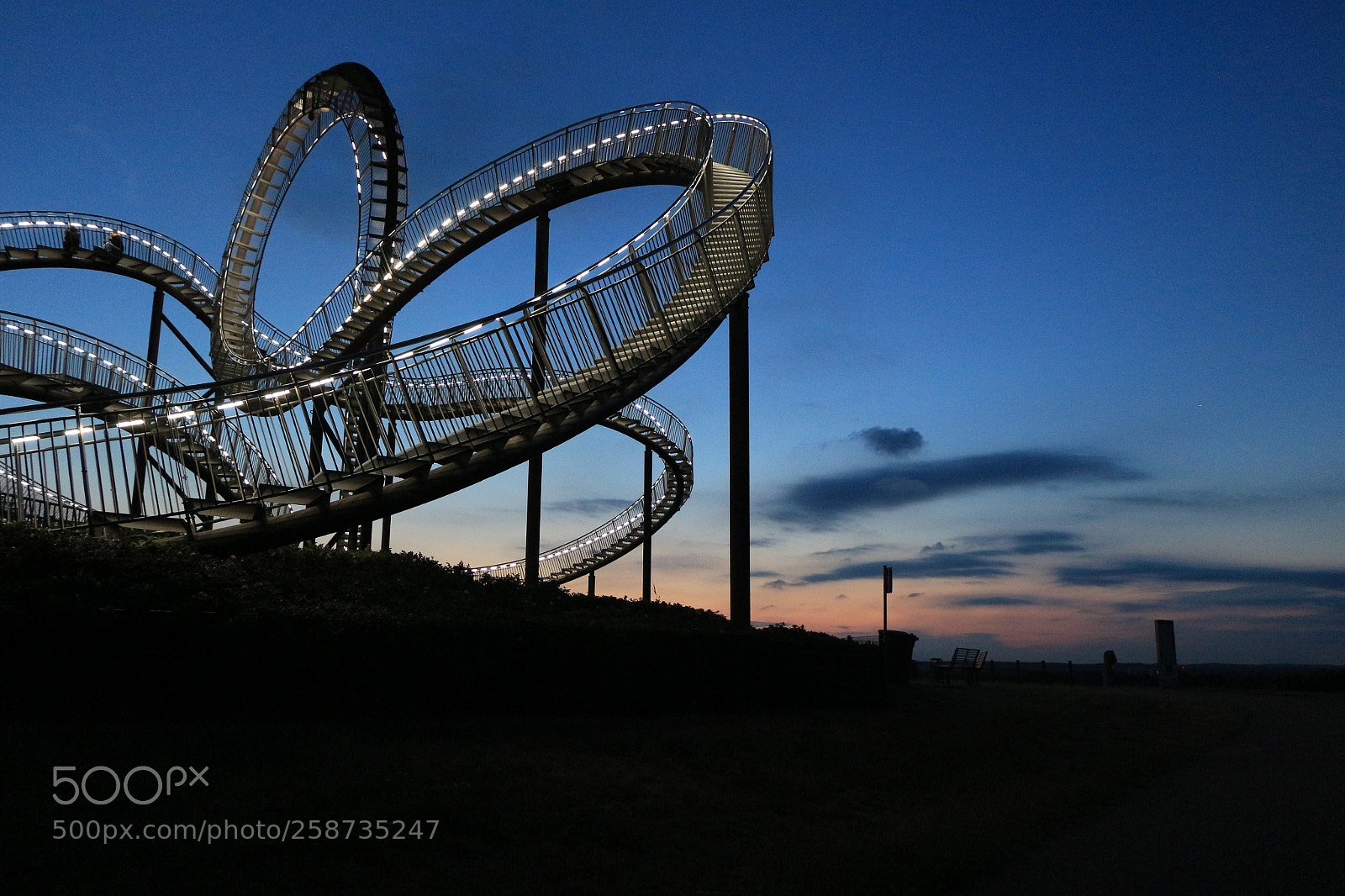 Canon EOS 700D (EOS Rebel T5i / EOS Kiss X7i) sample photo. Tiger & turtle photography