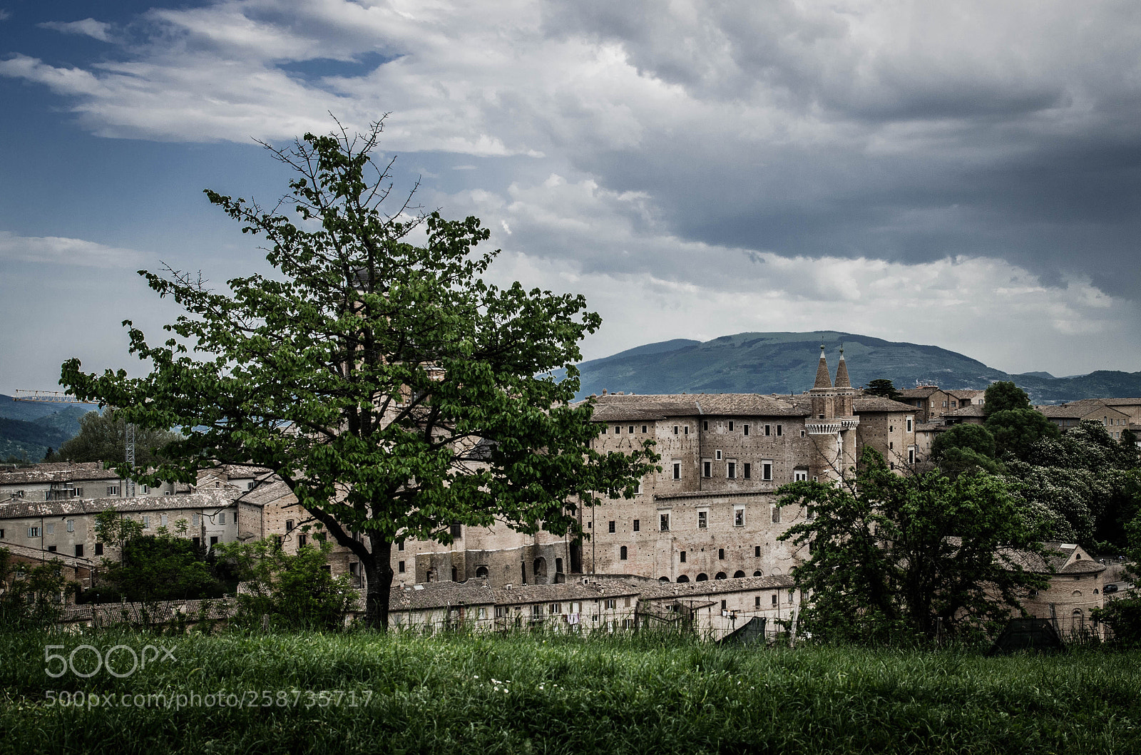 Nikon D7000 sample photo. Albornoz photography