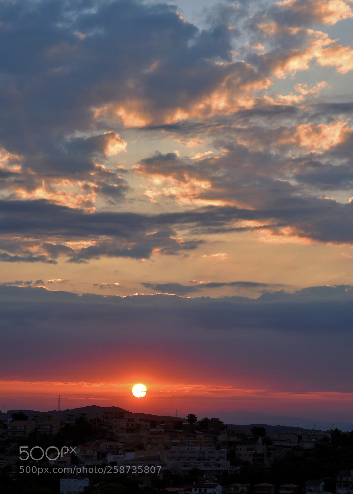Nikon D750 sample photo. Early riser photography