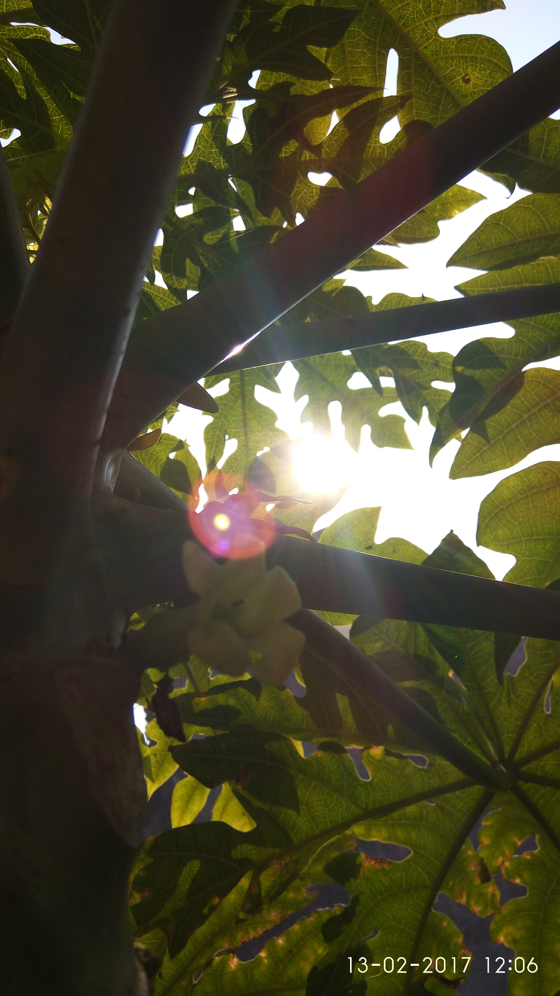 Xiaomi Redmi Note 3 sample photo