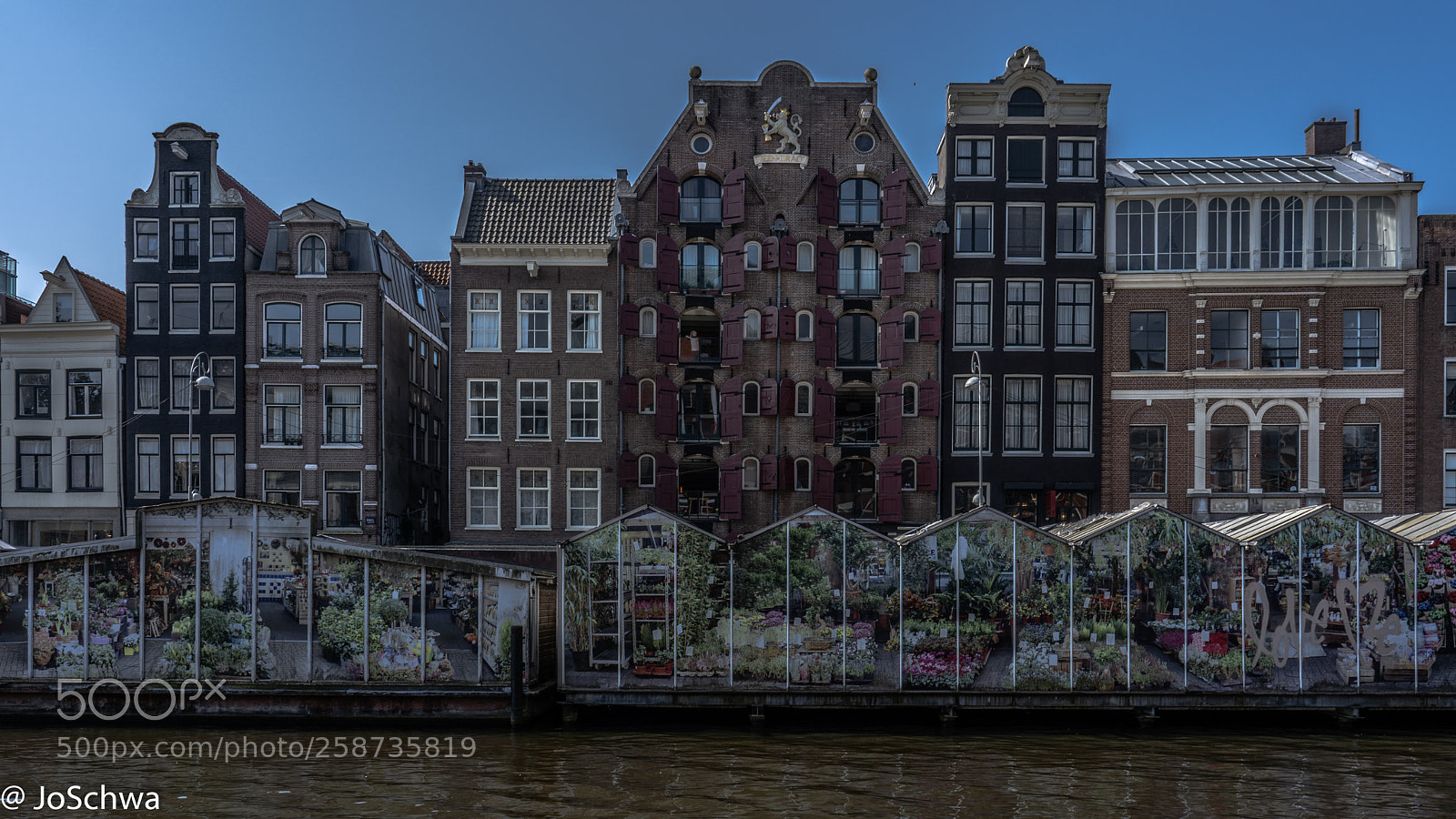 Sony a7 III sample photo. Flower market amsterdam photography