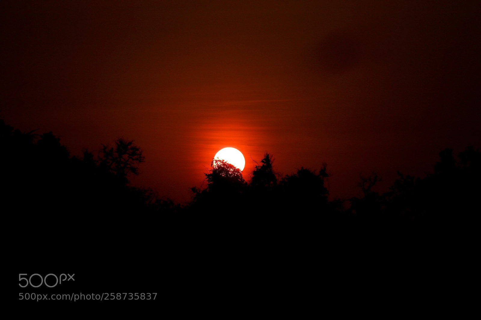 Canon EOS 80D sample photo. Sunset photography