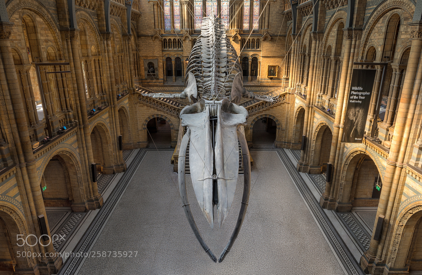 Canon EOS 5D Mark IV sample photo. Natural history museum photography