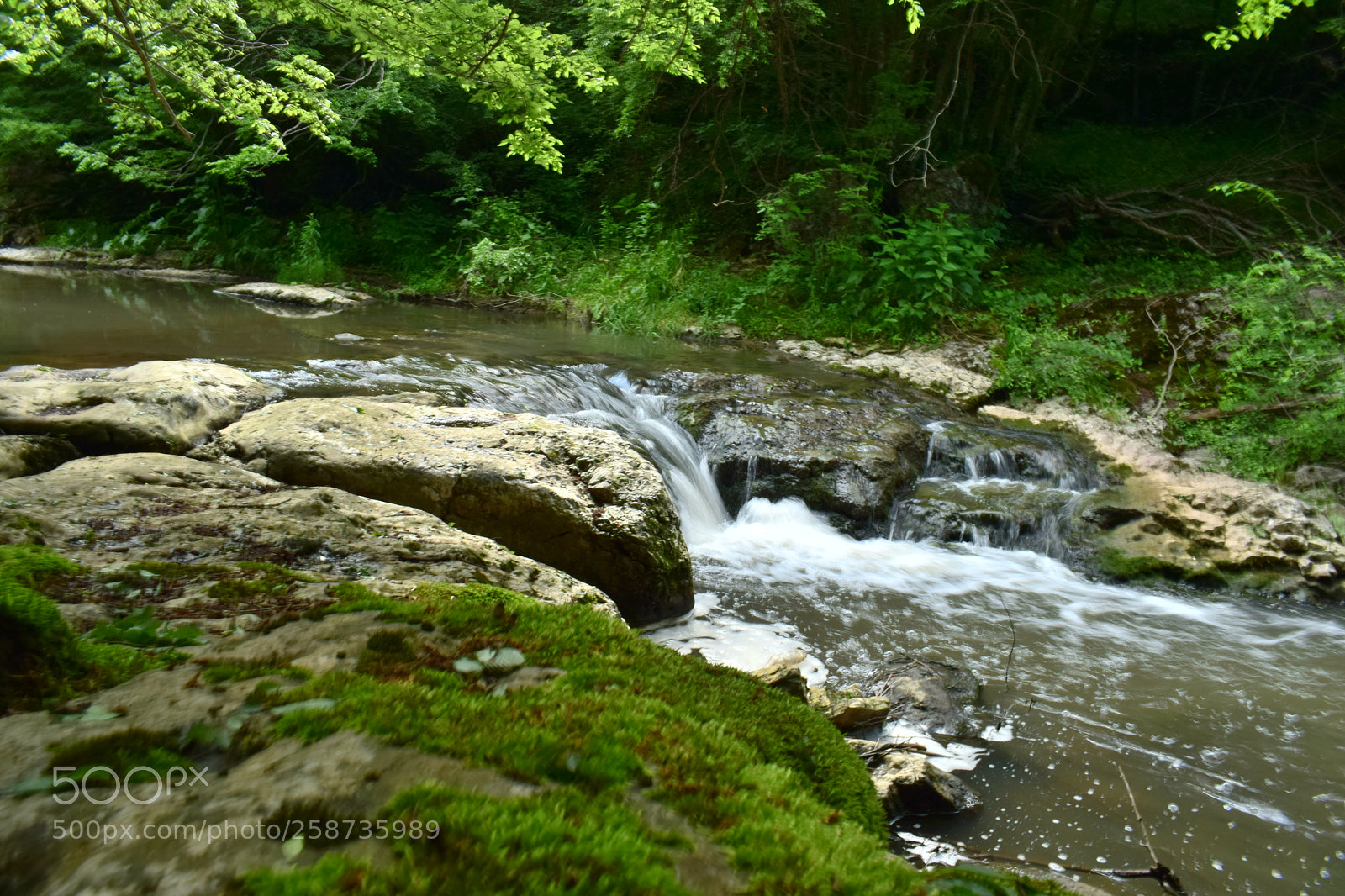 Nikon D3300 sample photo. Csc photography