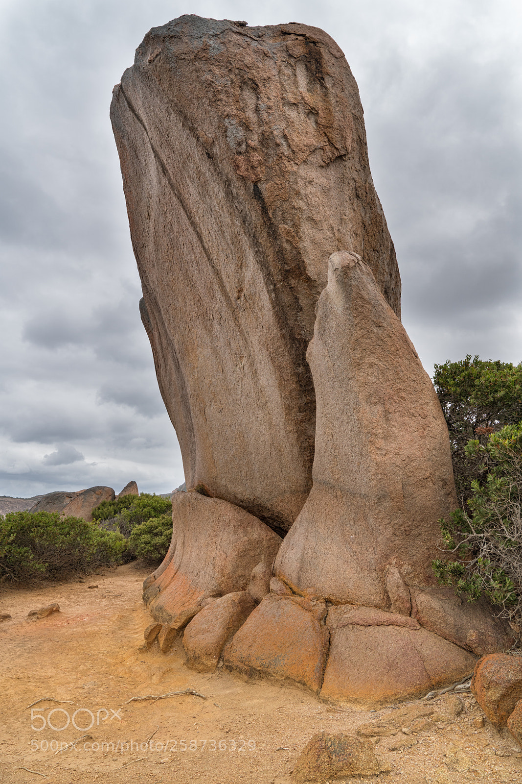 Sony a7R II sample photo. Cape le grand national photography