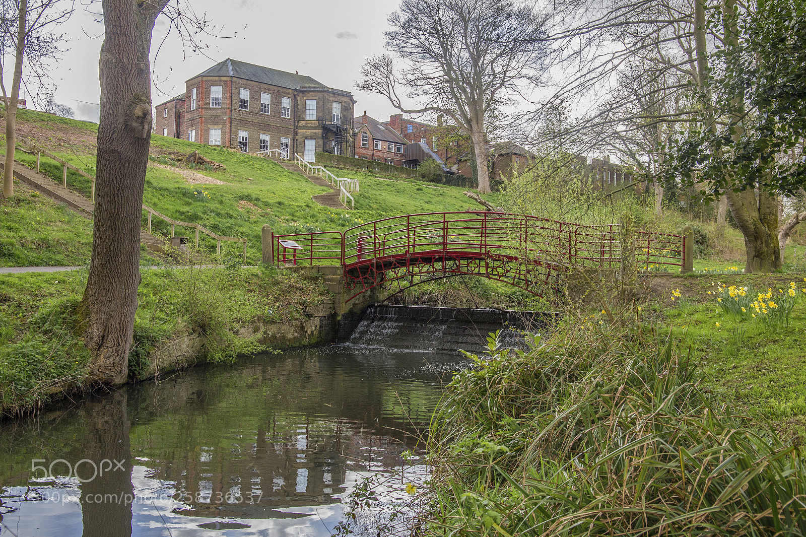 Canon EOS 6D sample photo. Wallsend park photography