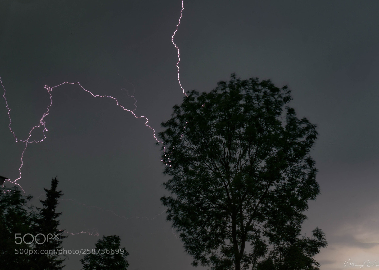 Olympus OM-D E-M10 II sample photo. Orage. l' clair ne photography