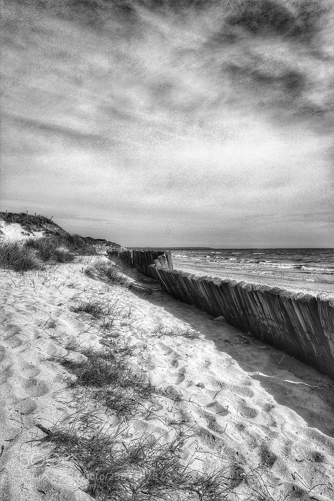Canon EOS 600D (Rebel EOS T3i / EOS Kiss X5) sample photo. Utah beach ( b&w) photography