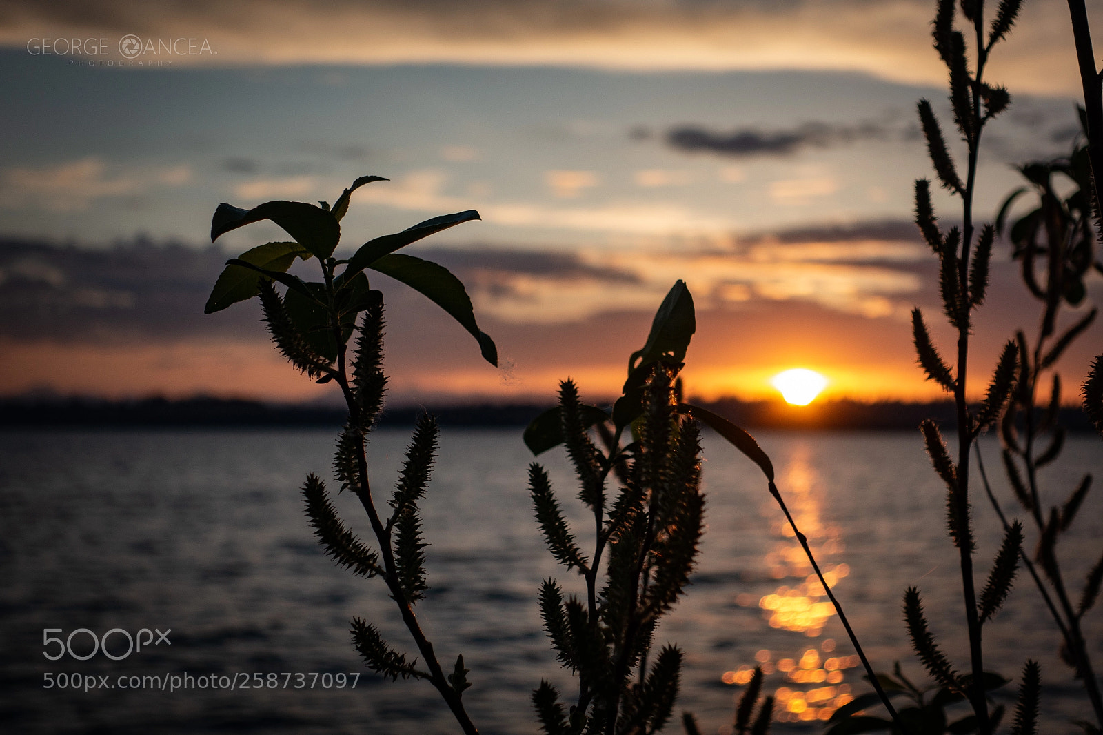 Sony Cyber-shot DSC-RX100 IV sample photo. Sunset photography