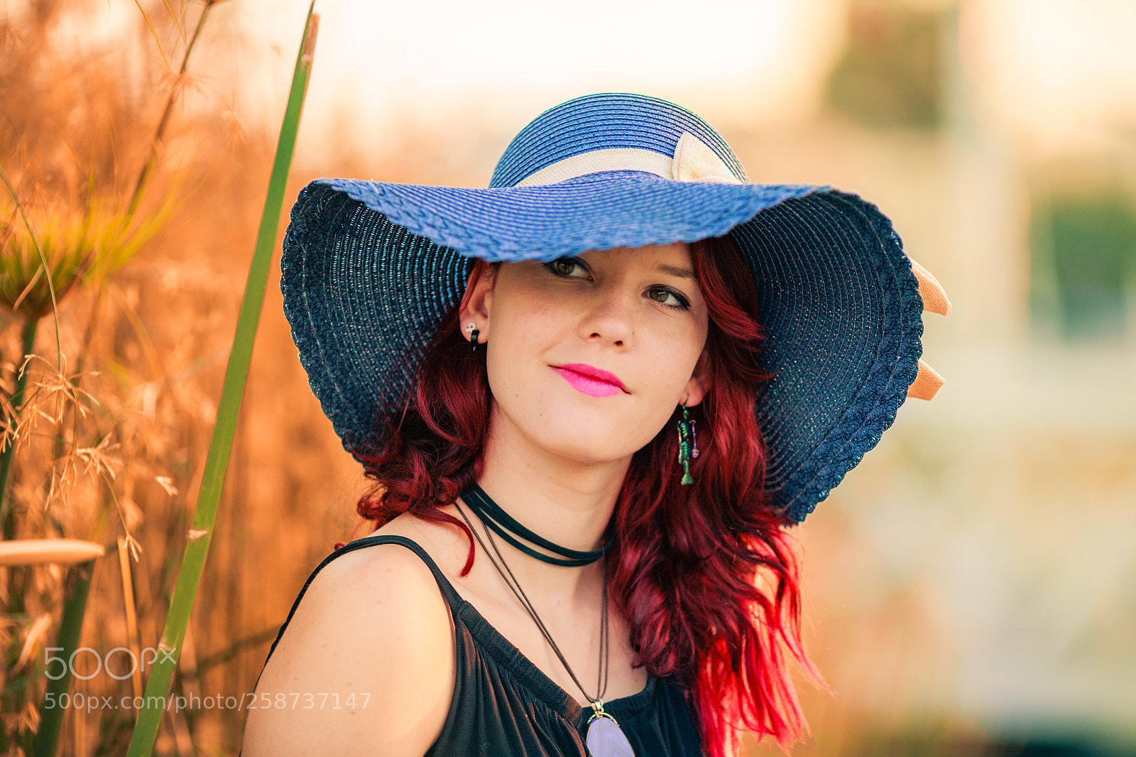 Canon EOS 5D sample photo. Summertime mode photos photography