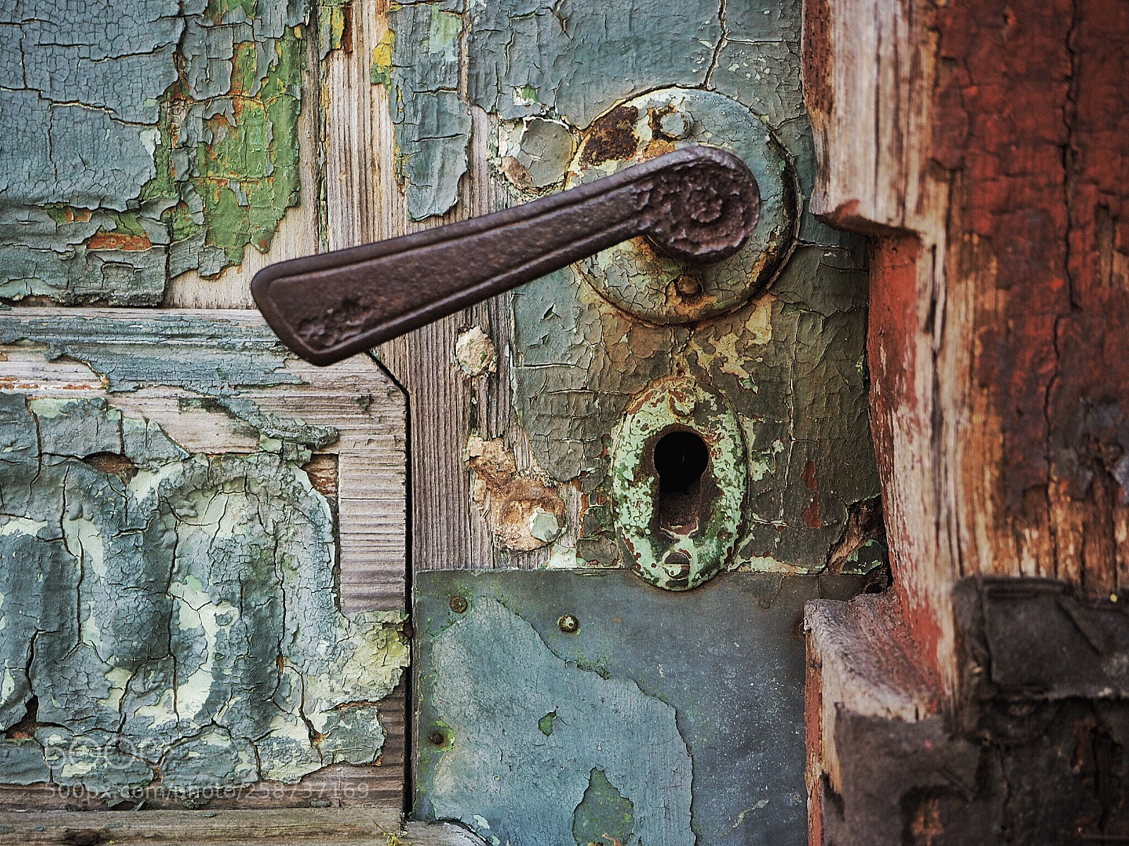 Olympus OM-D E-M10 sample photo. Come in.... photography
