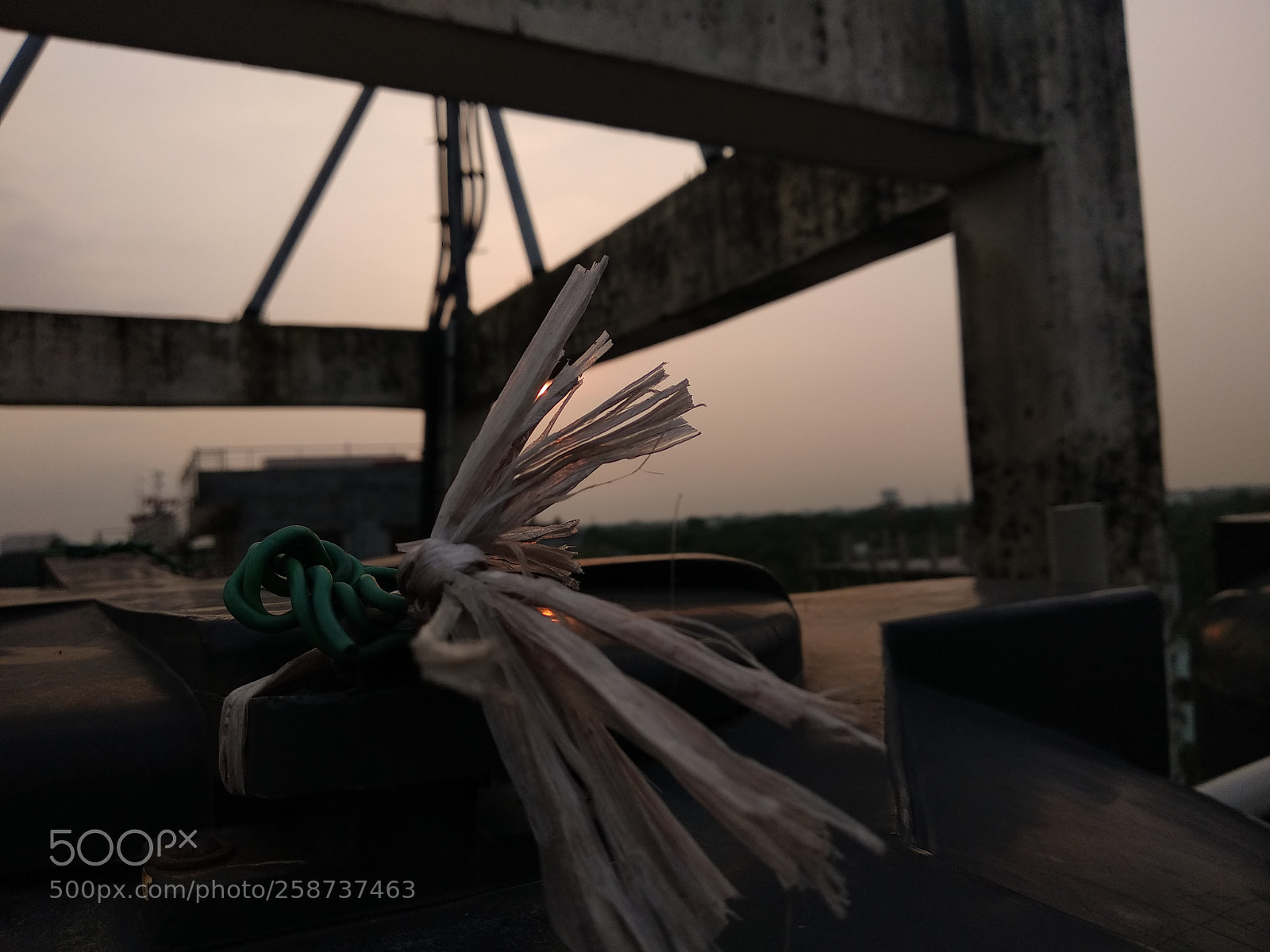 Xiaomi Mi A1 sample photo. The blur photography