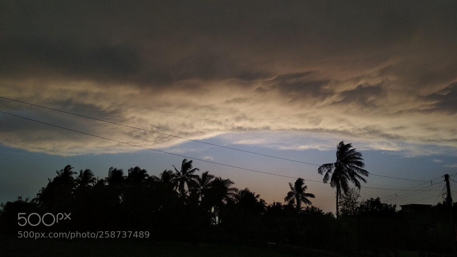 Xiaomi Redmi 4 Pro sample photo. Img_20180511_181005.jpg photography