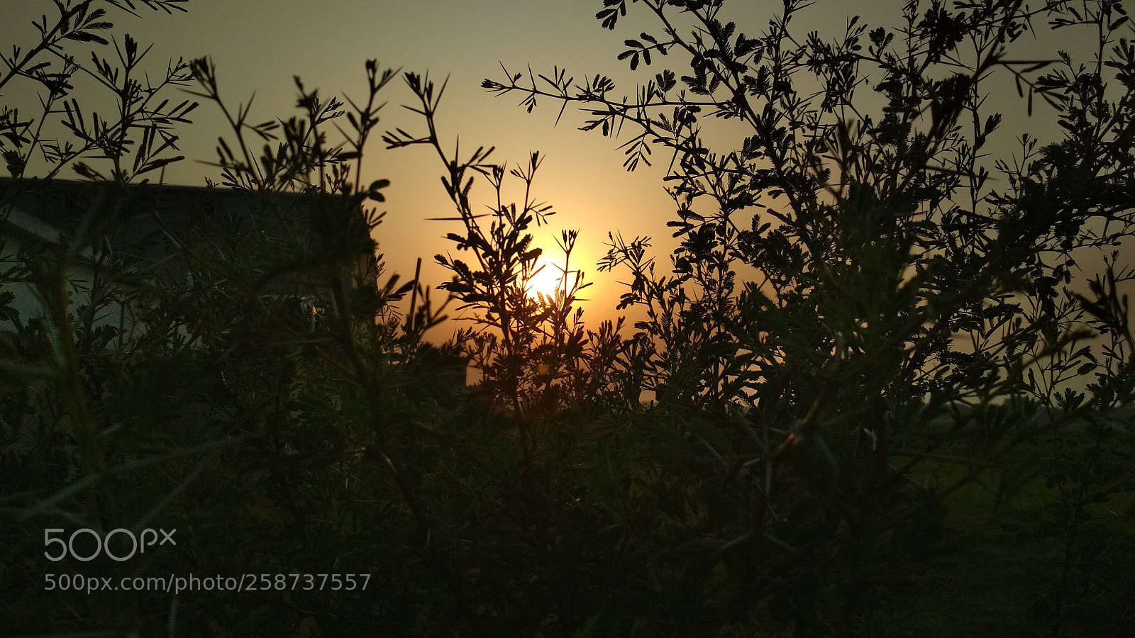 Xiaomi Redmi 4 Pro sample photo. Img_20180415_172451.jpg photography