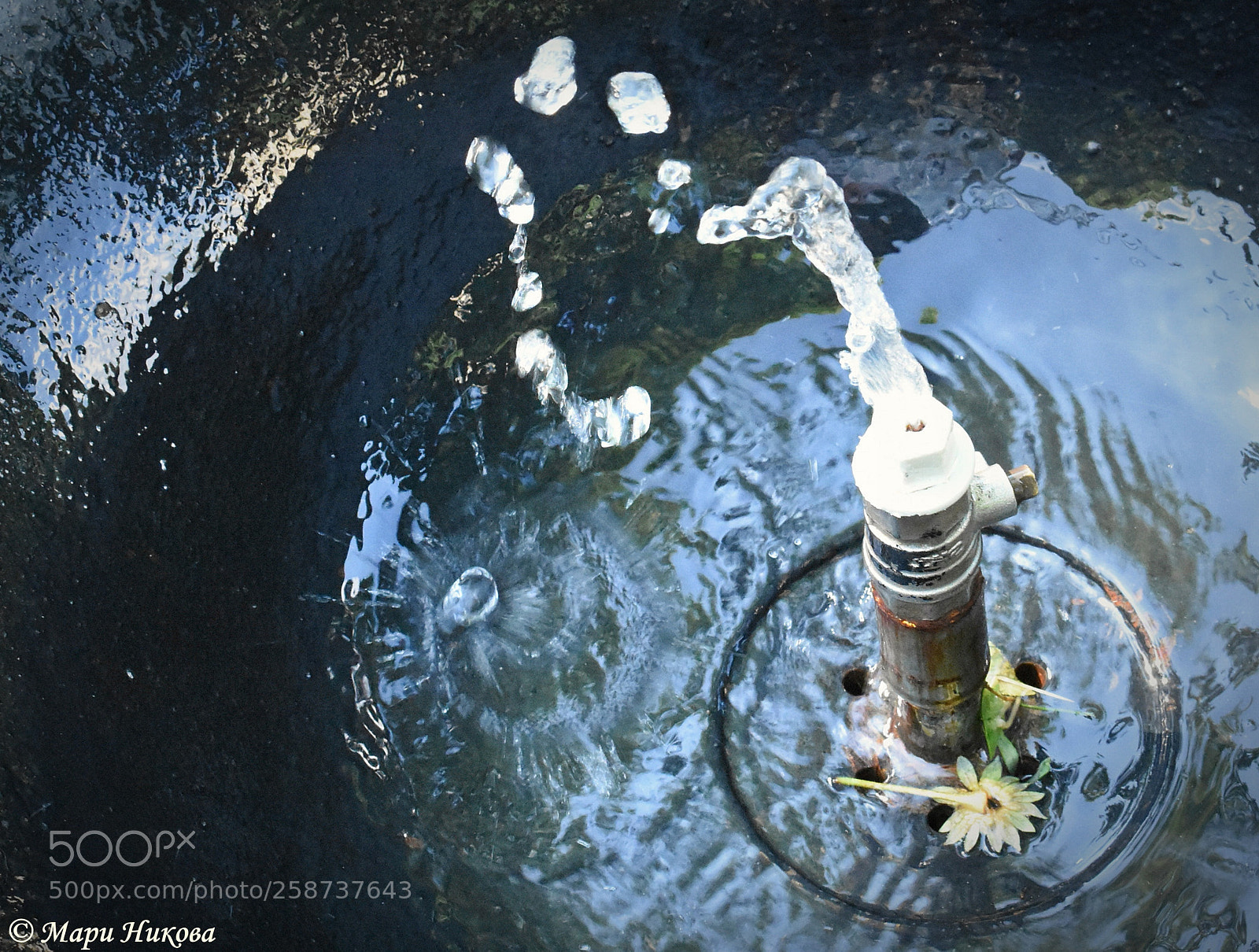 Nikon D3400 sample photo. Drops of water photography