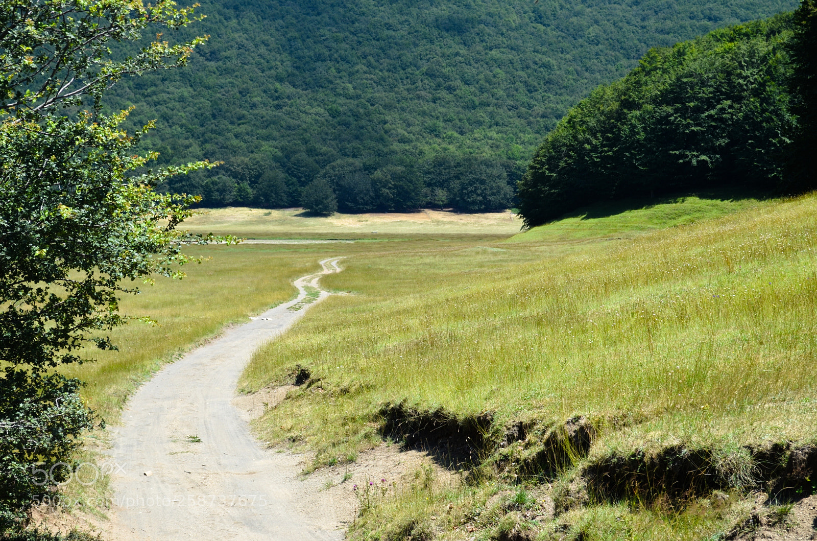 Nikon D5100 sample photo. Grande campo photography