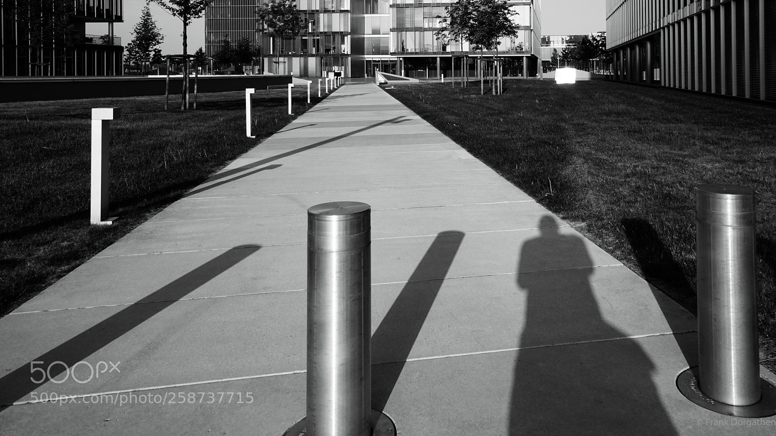 Sony a6000 sample photo. Shadow plays photography