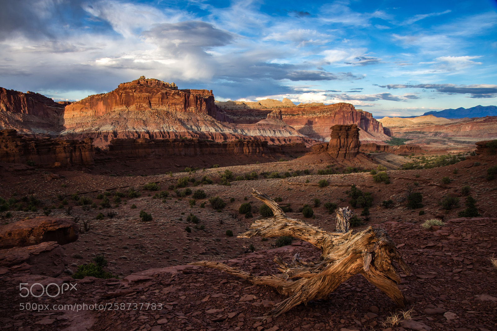 Nikon D7200 sample photo. Desert sunset photography