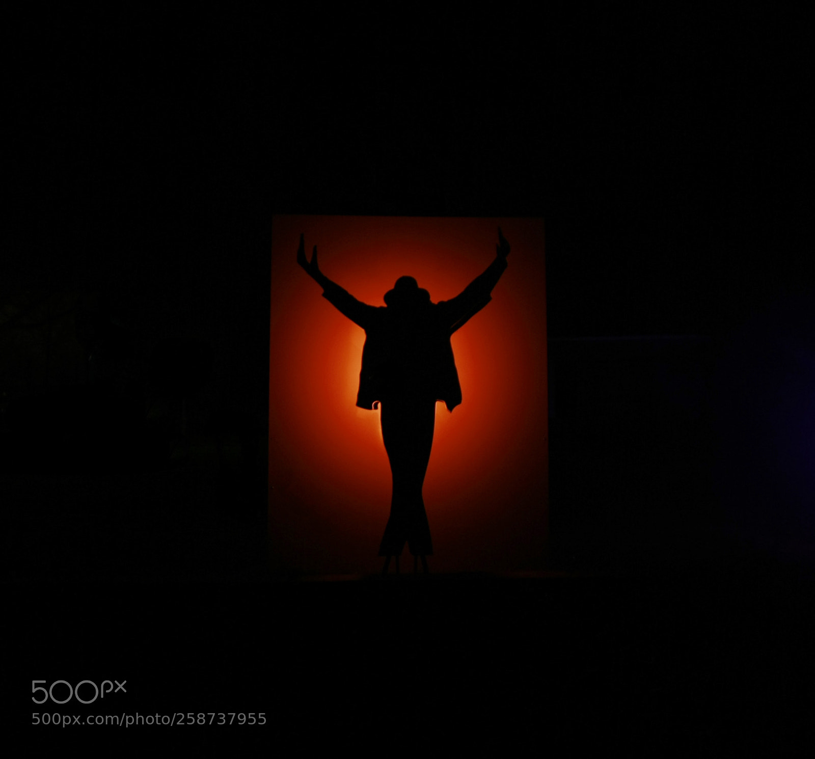 Canon EOS 1000D (EOS Digital Rebel XS / EOS Kiss F) sample photo. King of pop photography