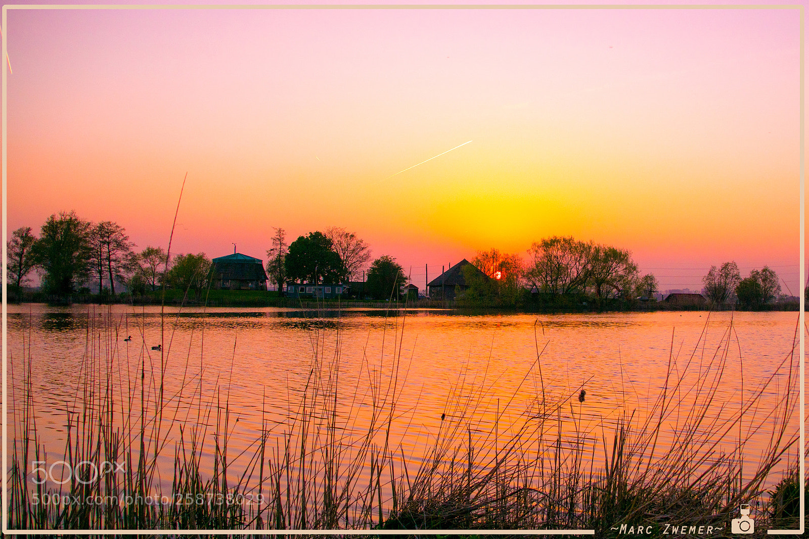 Sony ILCA-77M2 sample photo. The golden other side..... photography