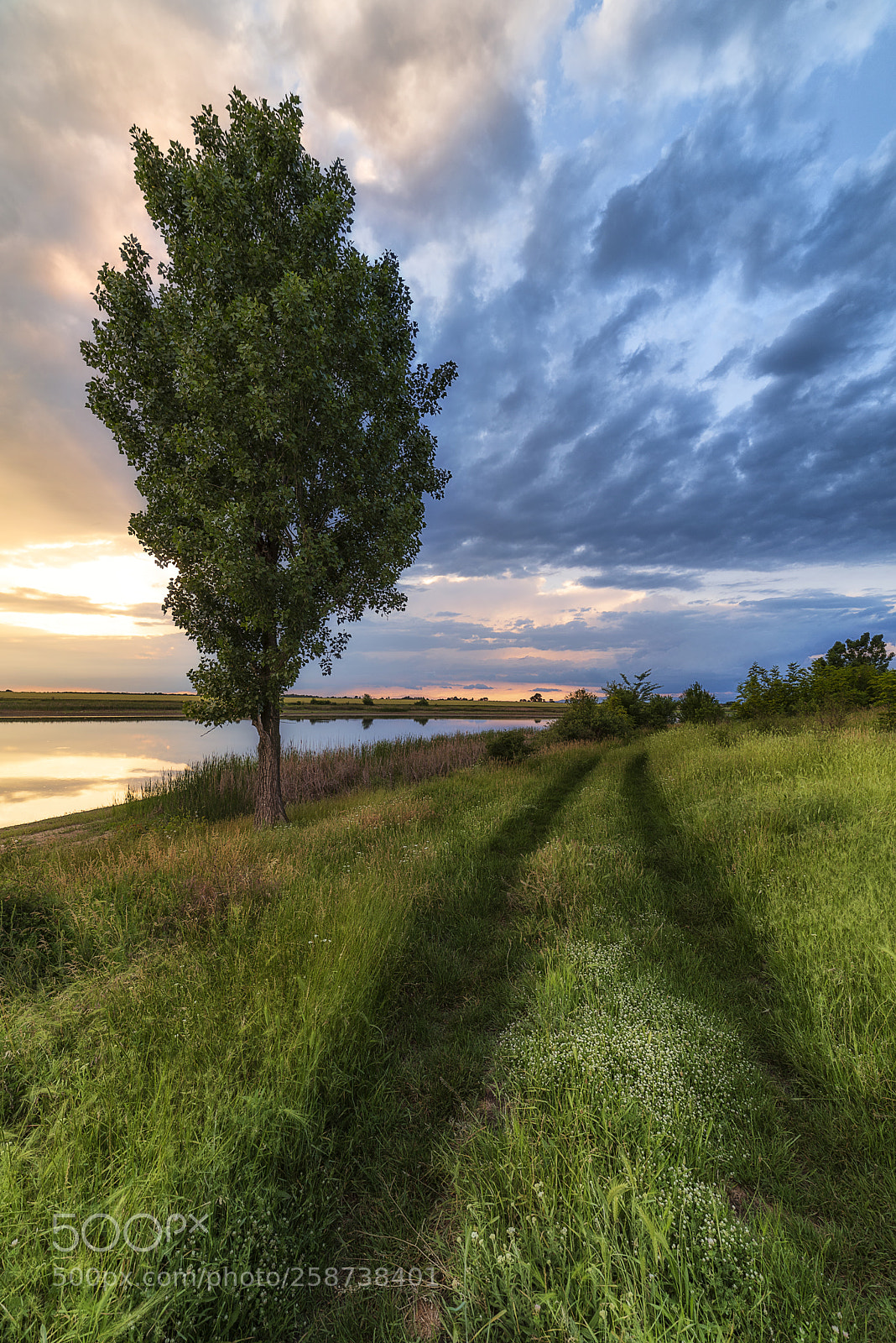Nikon D750 sample photo. Sunset photography