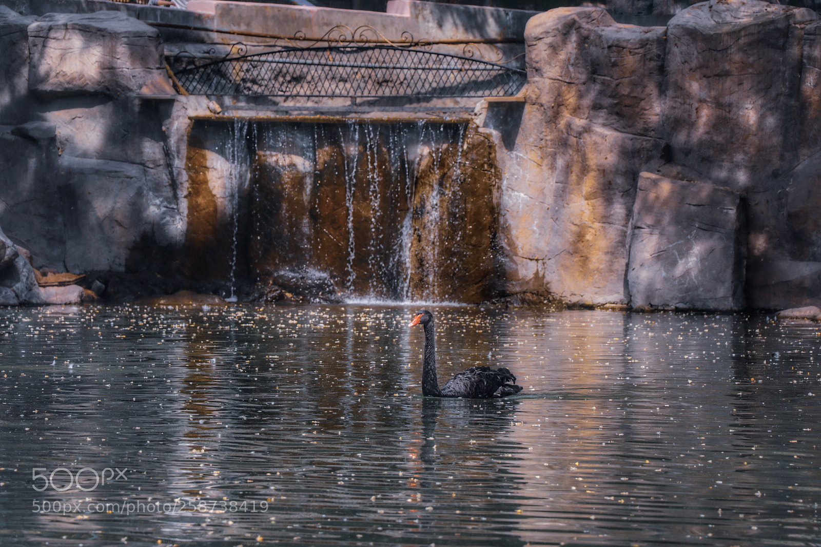 Canon EOS 80D sample photo. Untitled photography