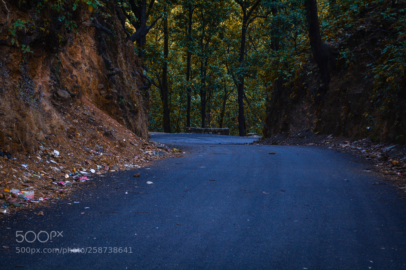 Nikon D5200 sample photo. The northern woods photography