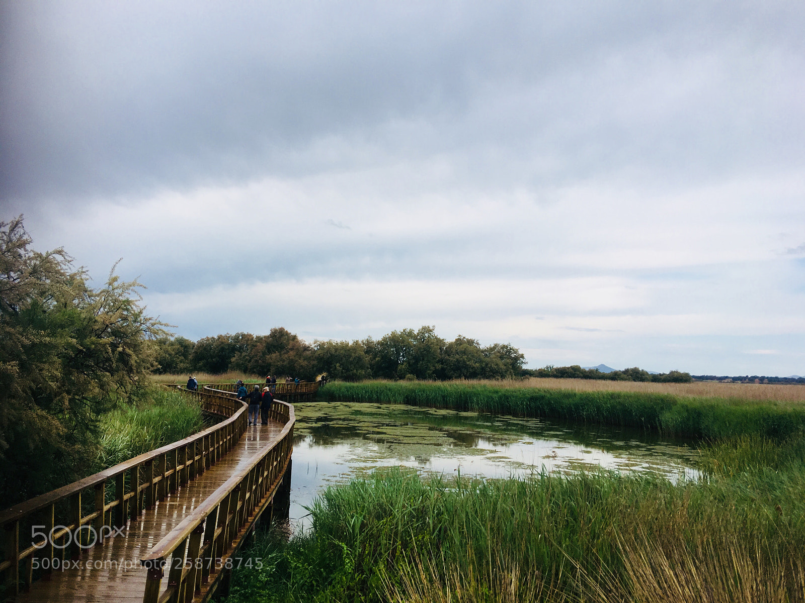 Apple iPhone 6s Plus sample photo. Las tablas de daimiel photography