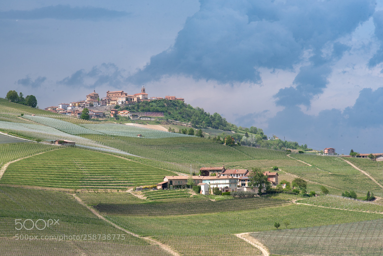 Nikon D750 sample photo. Langhe and clouds photography