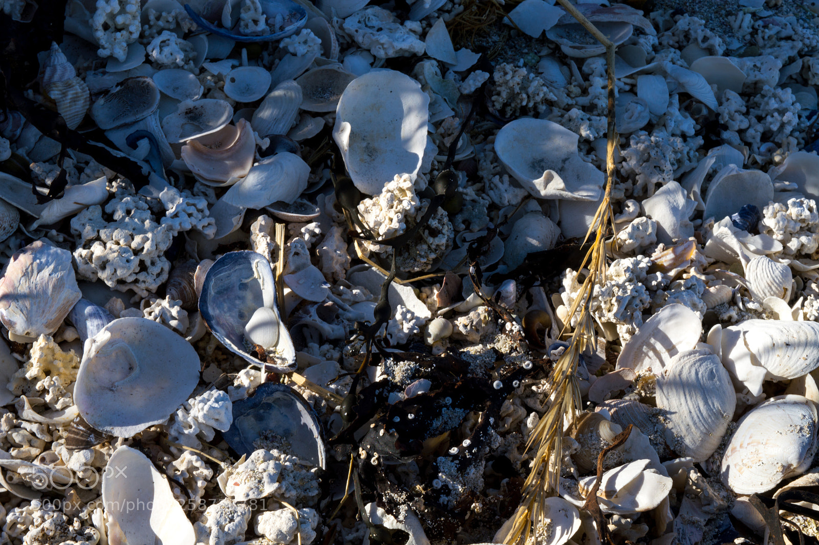 Nikon D3200 sample photo. Norway photography