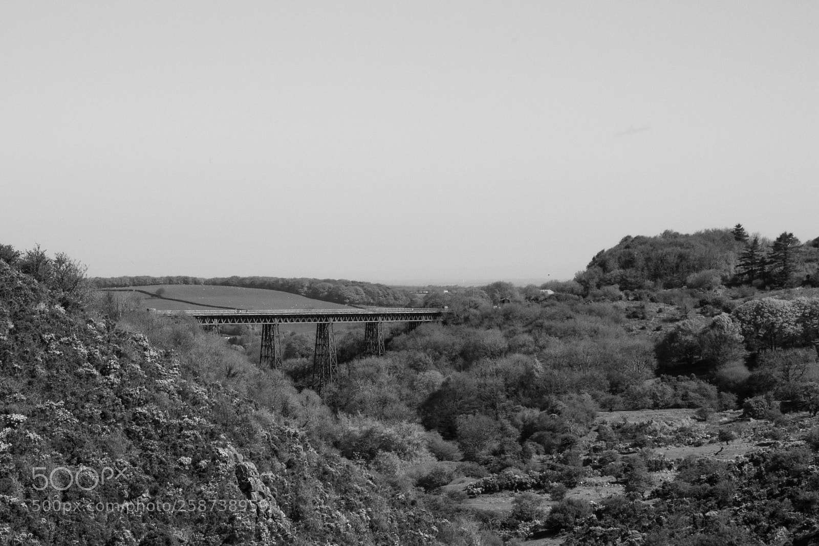 Canon EOS 100D (EOS Rebel SL1 / EOS Kiss X7) sample photo. Meldon viaduct photography