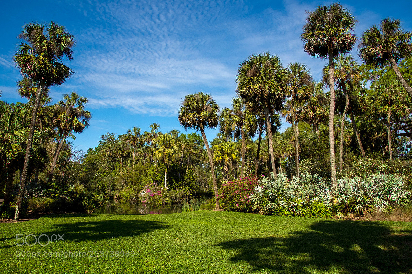 Nikon D810 sample photo. Untitled photography