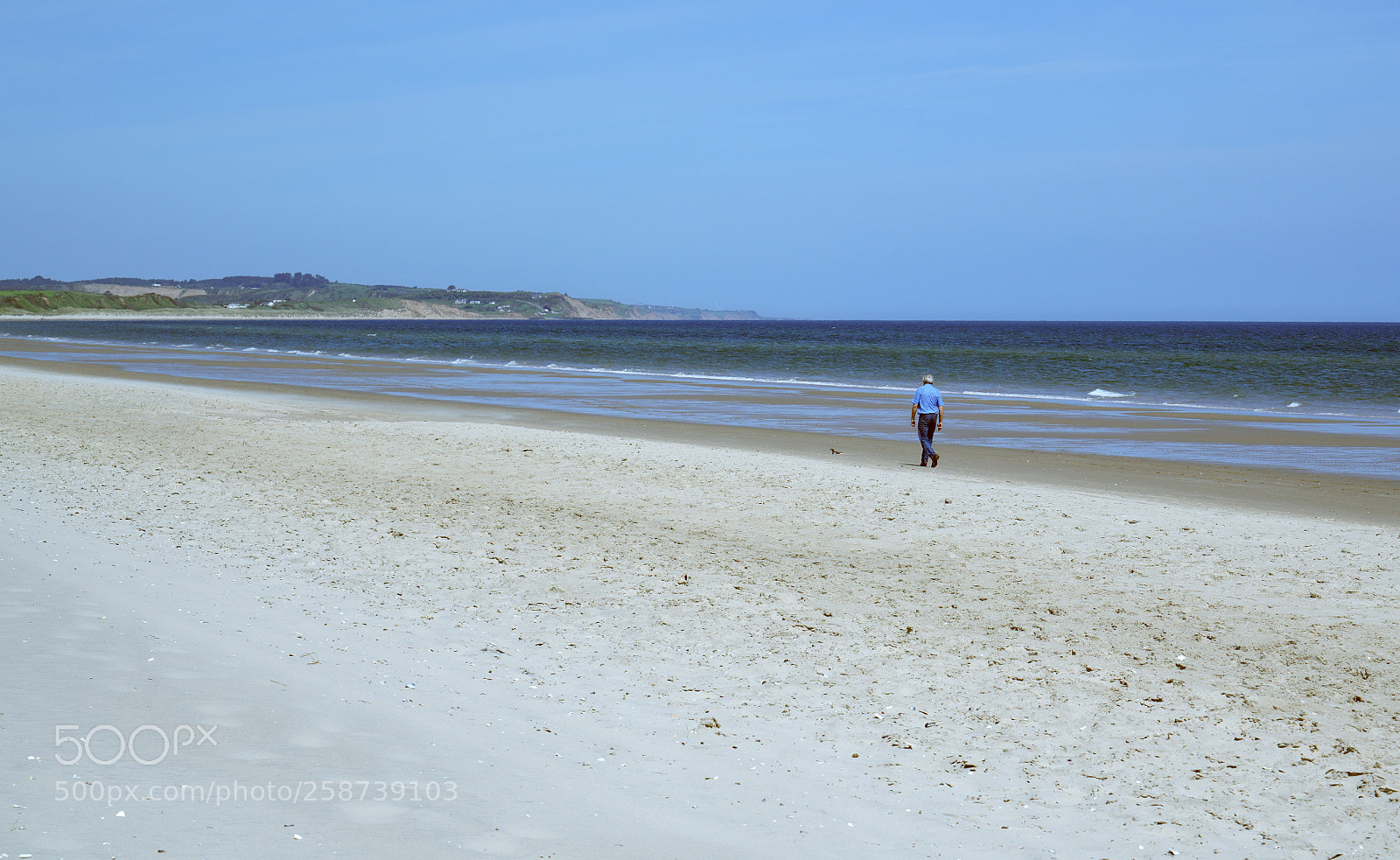 Sony a7R III sample photo. Untitled photography