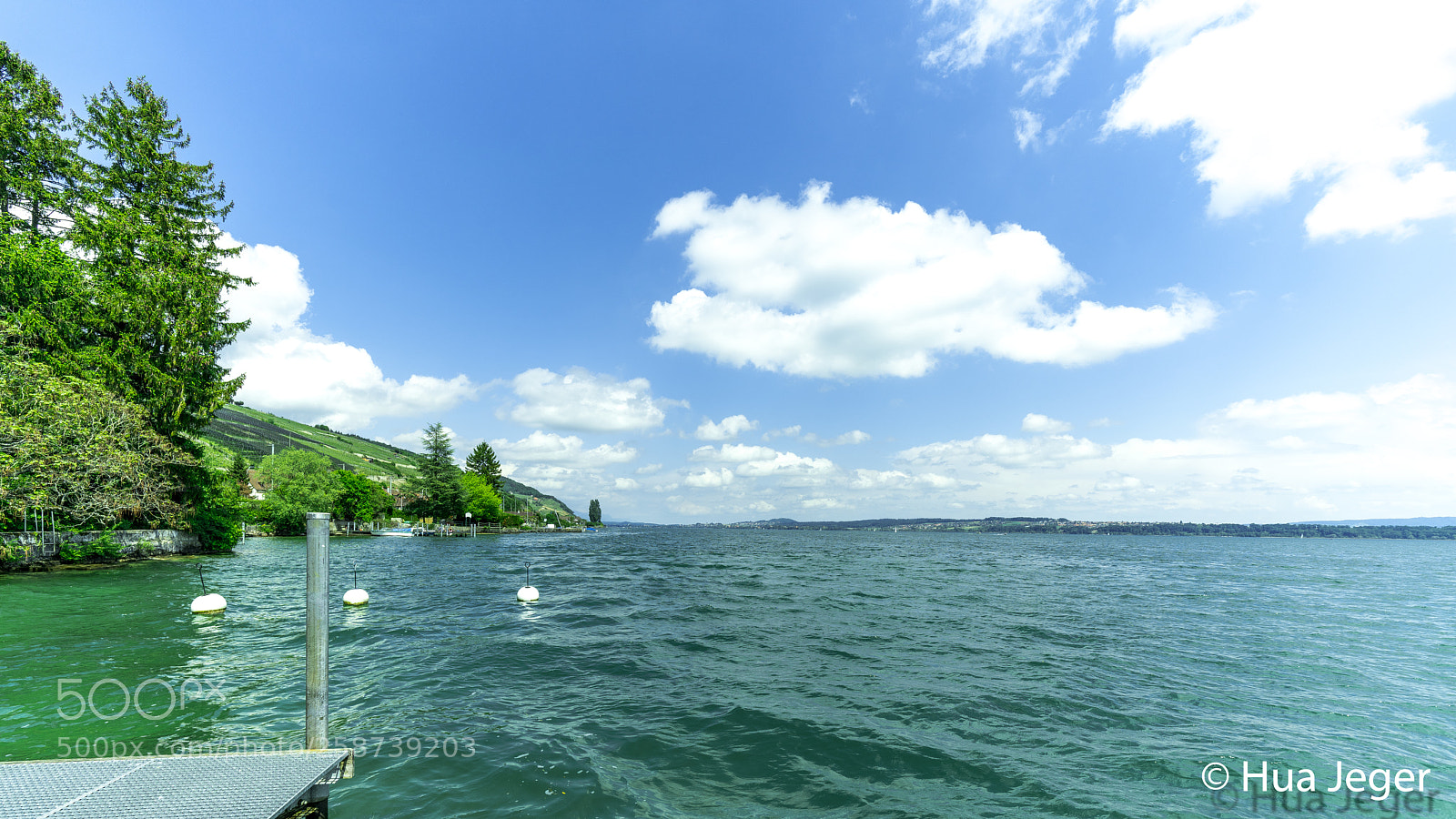 Sony a7R II sample photo. Dsc photography