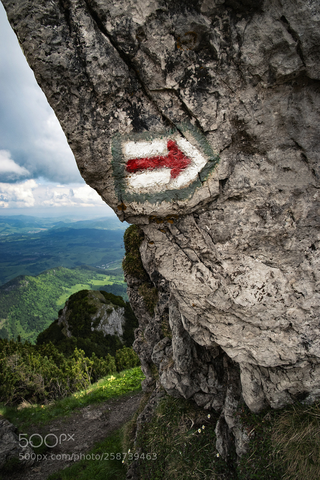 Nikon D5500 sample photo. Tourist red sign to photography