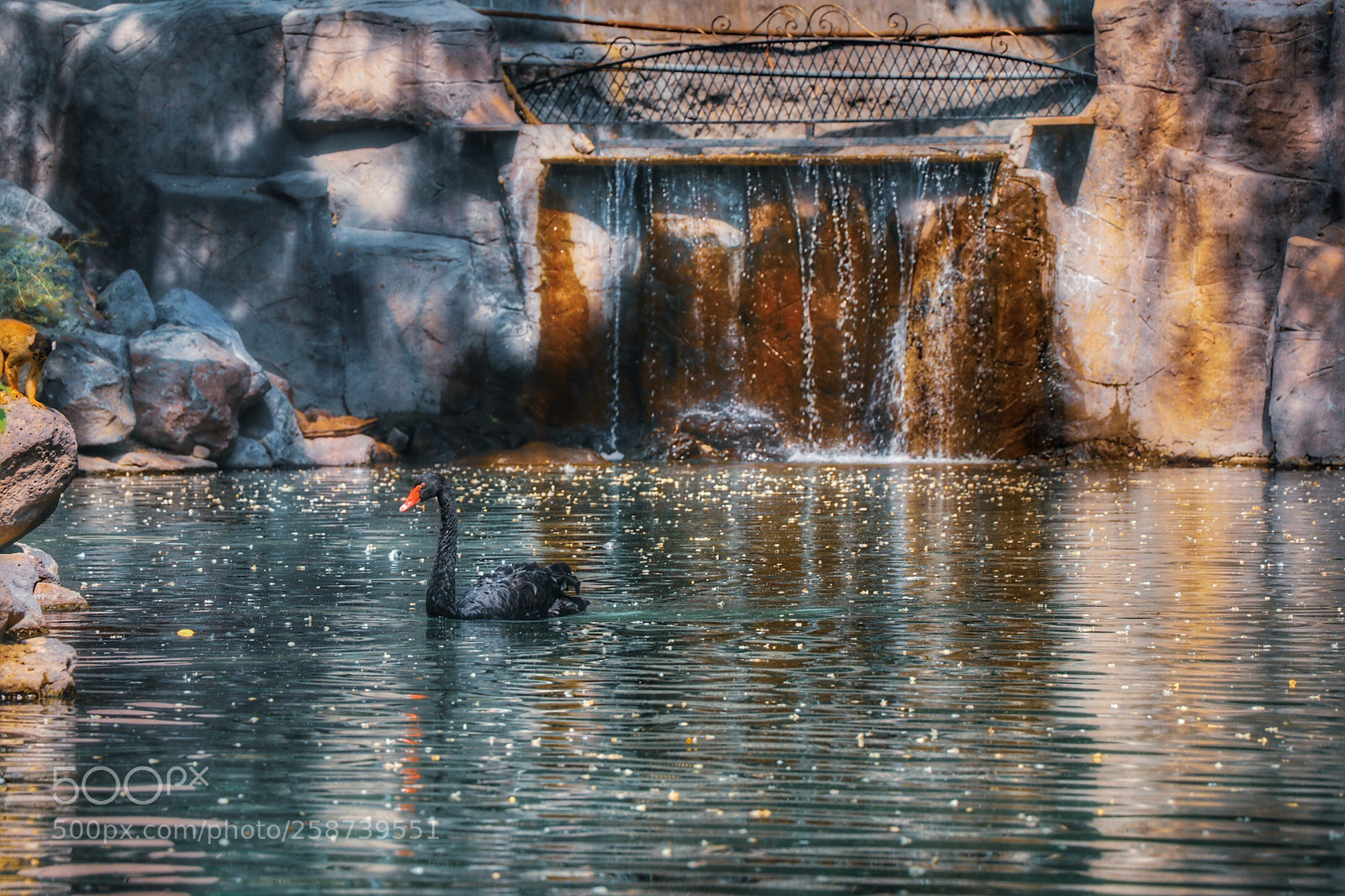 Canon EOS 80D sample photo. Untitled photography