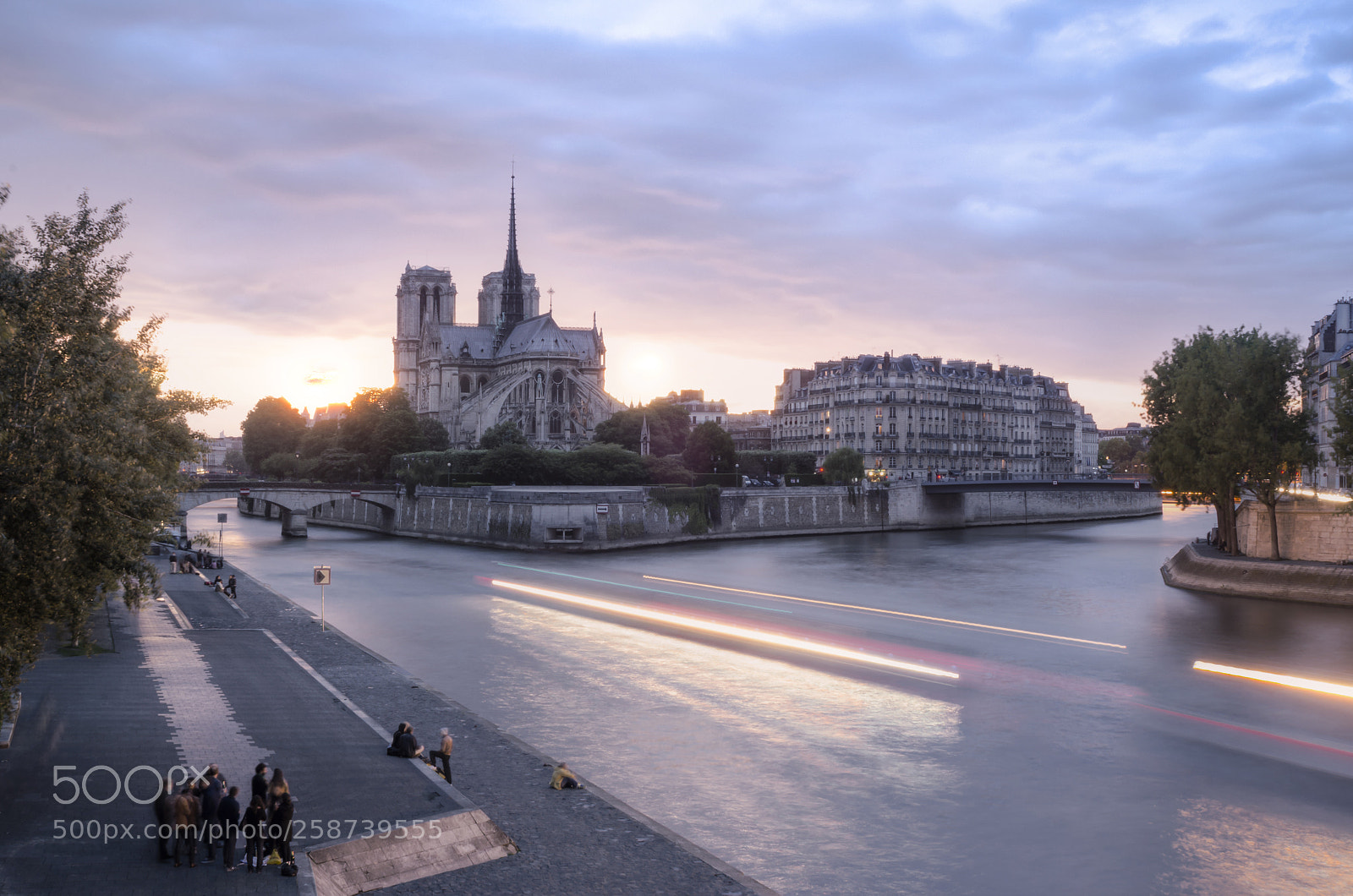 Nikon D7000 sample photo. Cath drale notre-dame de photography