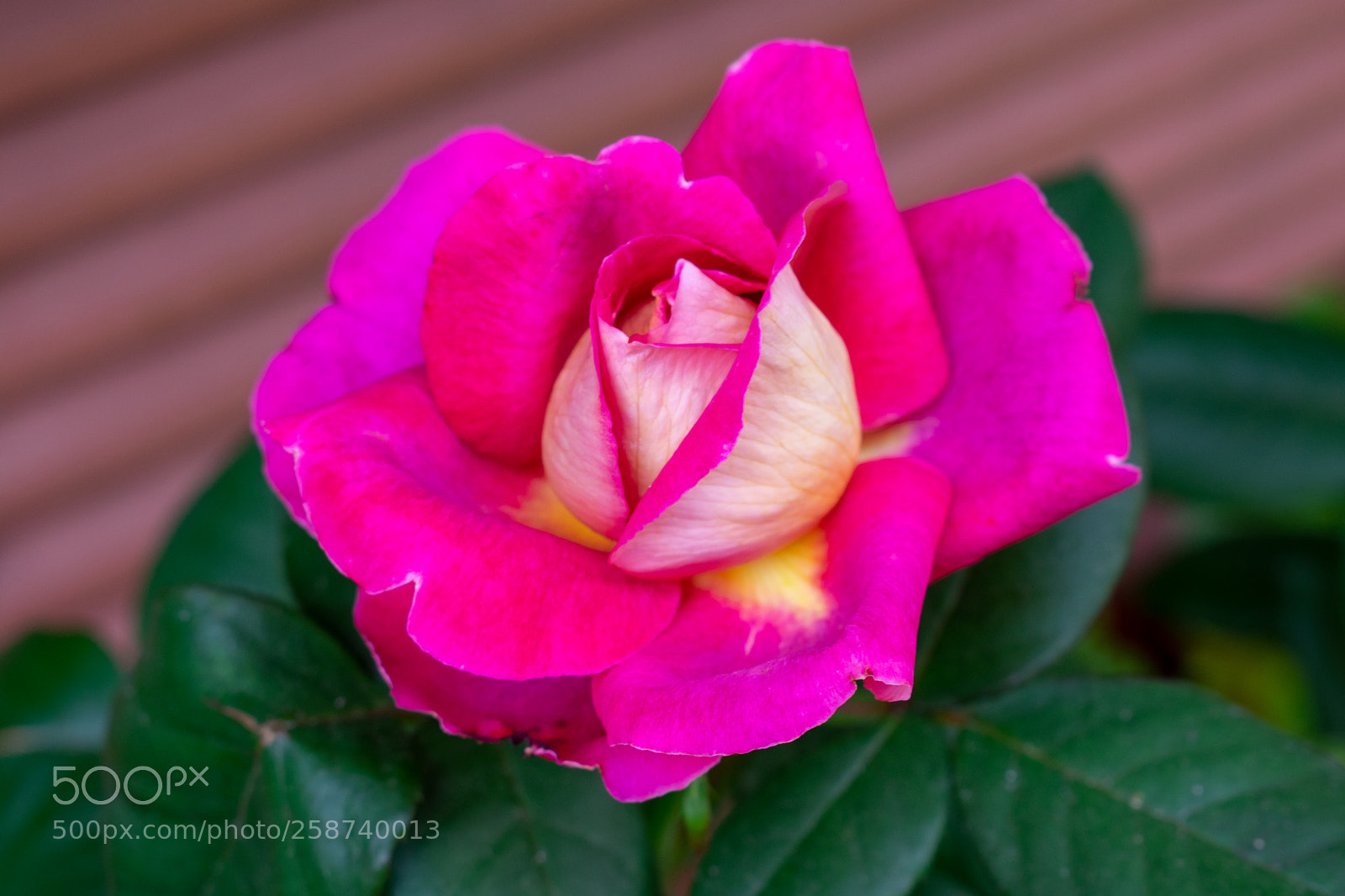 Nikon D3400 sample photo. Dsc photography
