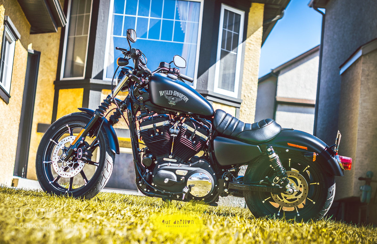 Nikon D5300 sample photo. Iron 883 - harley davidson photography