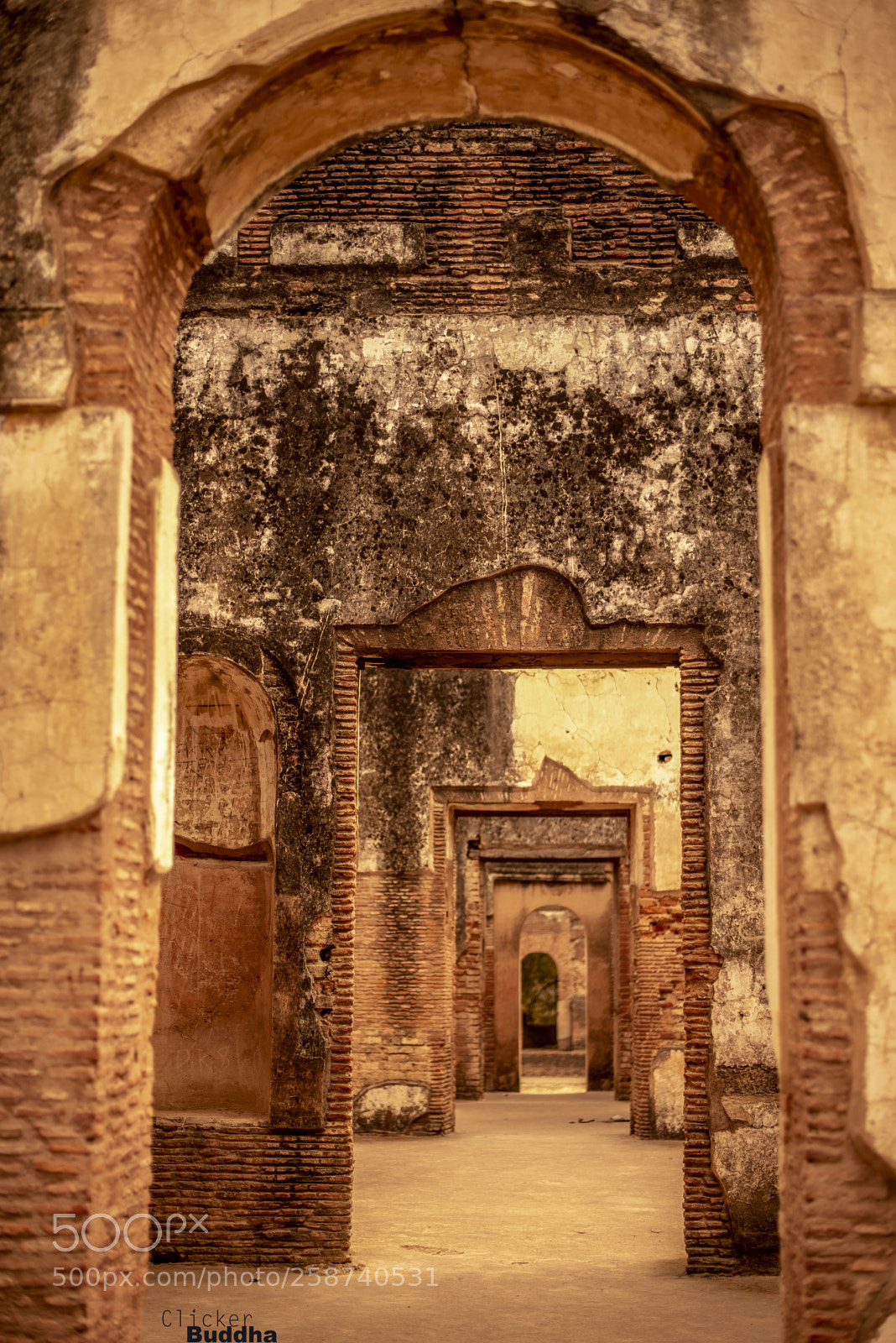 Nikon D610 sample photo. No door photography