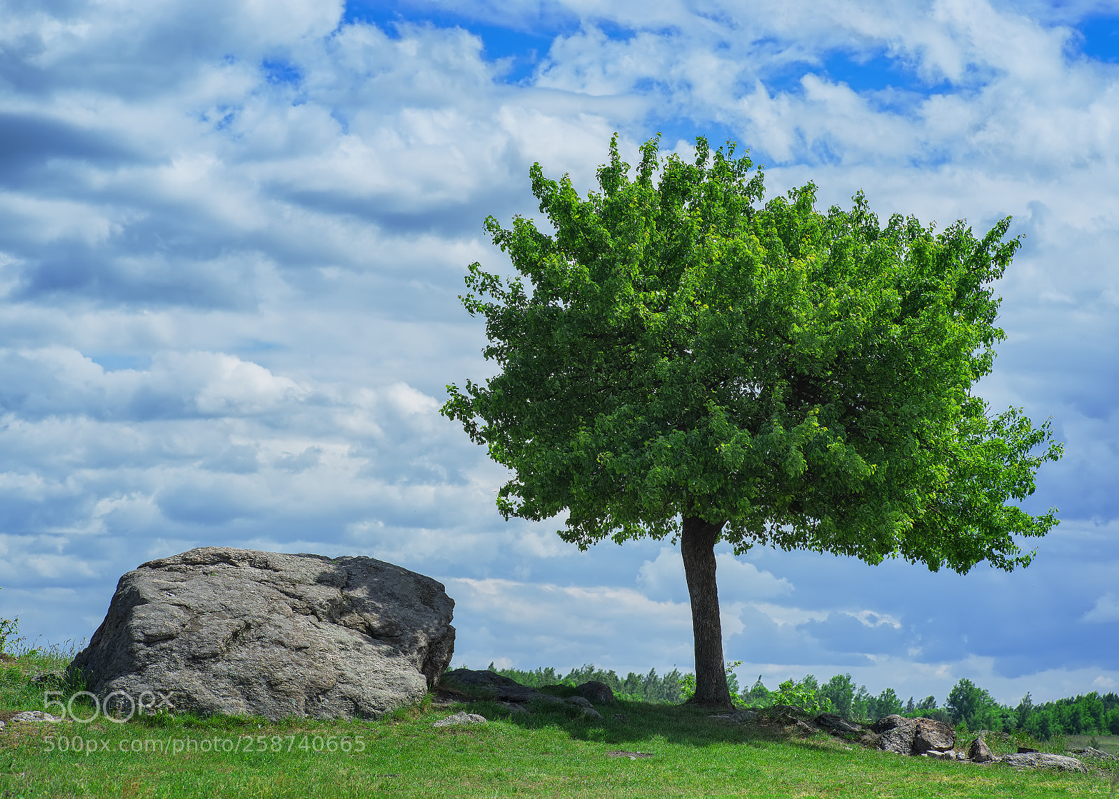 Nikon D800E sample photo. Sunny day photography