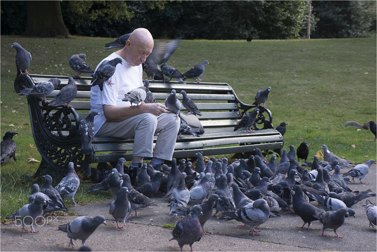 Sony Alpha NEX-7 sample photo. Man with birds photography